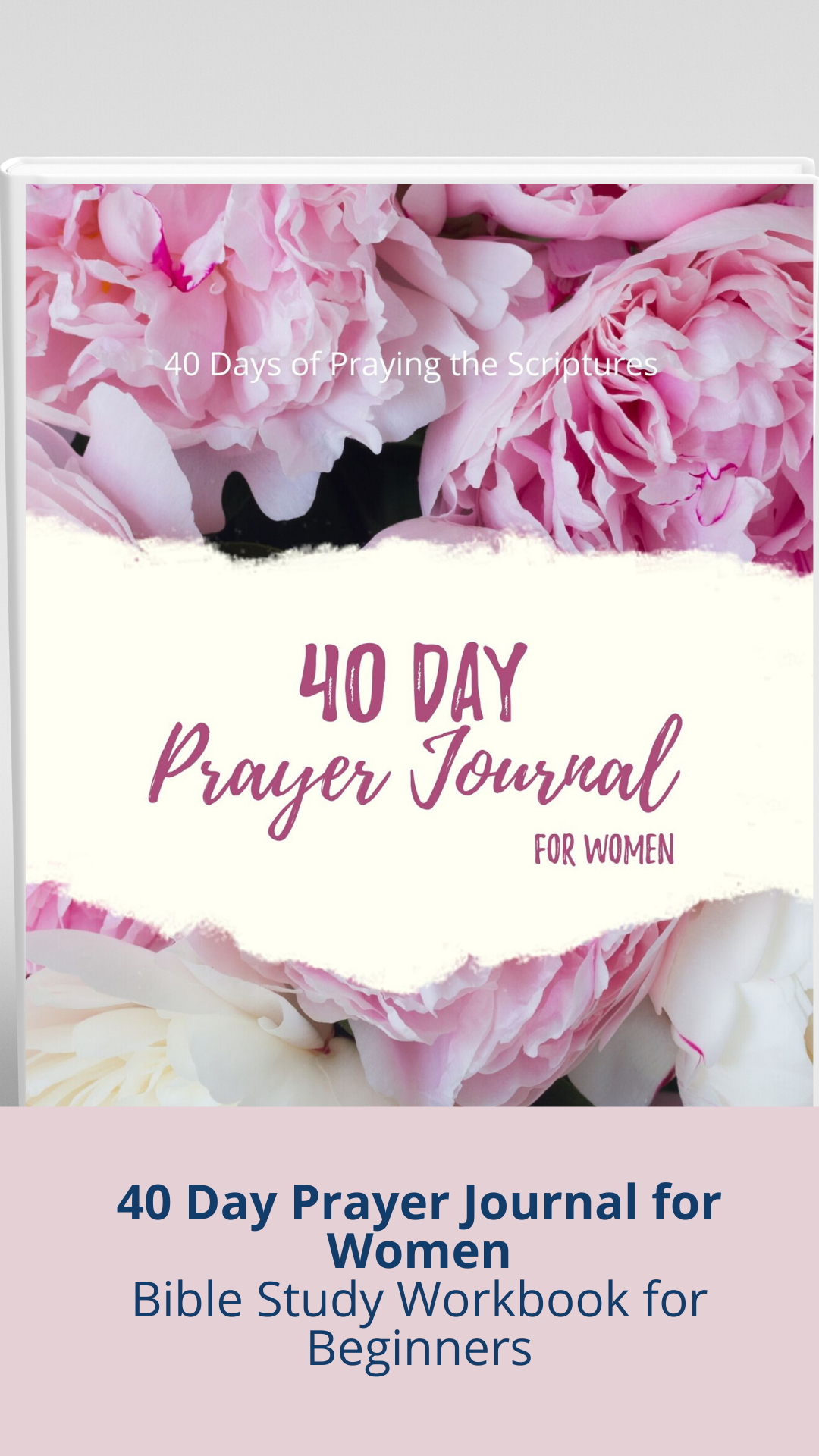bible study workbook for women