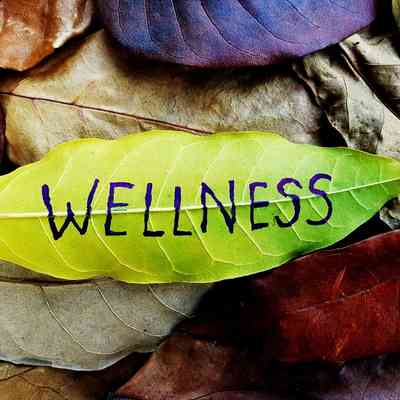 wellness health